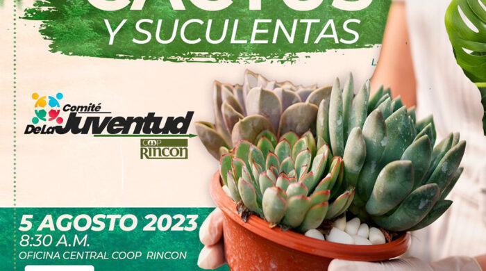 Eventos-Taller-Cactus-y-Suculentas